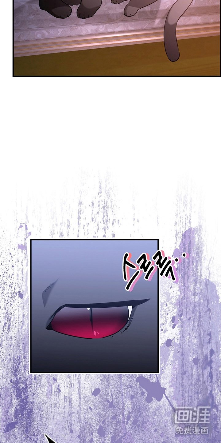 第4章：兔毛球