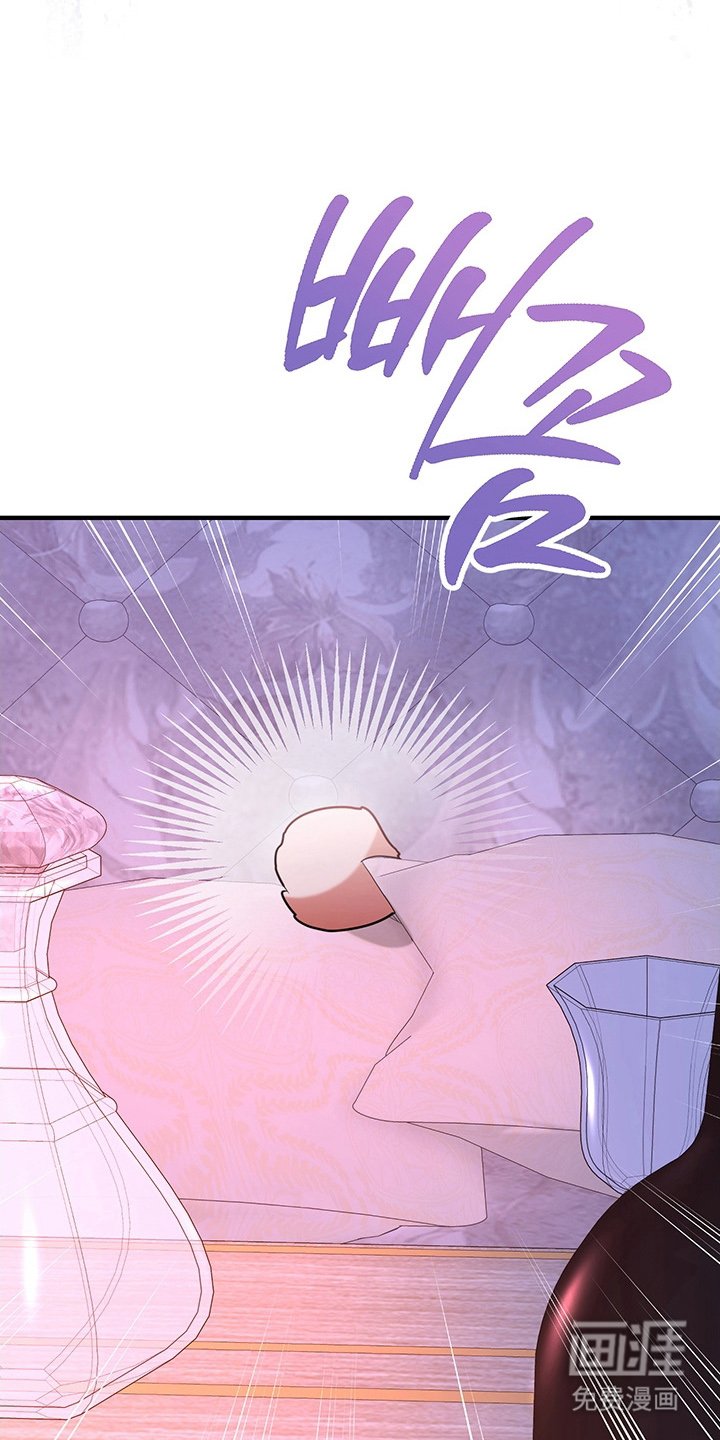 第4章：兔毛球