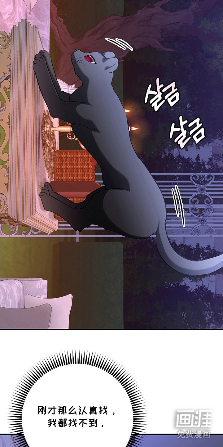 第4章：兔毛球