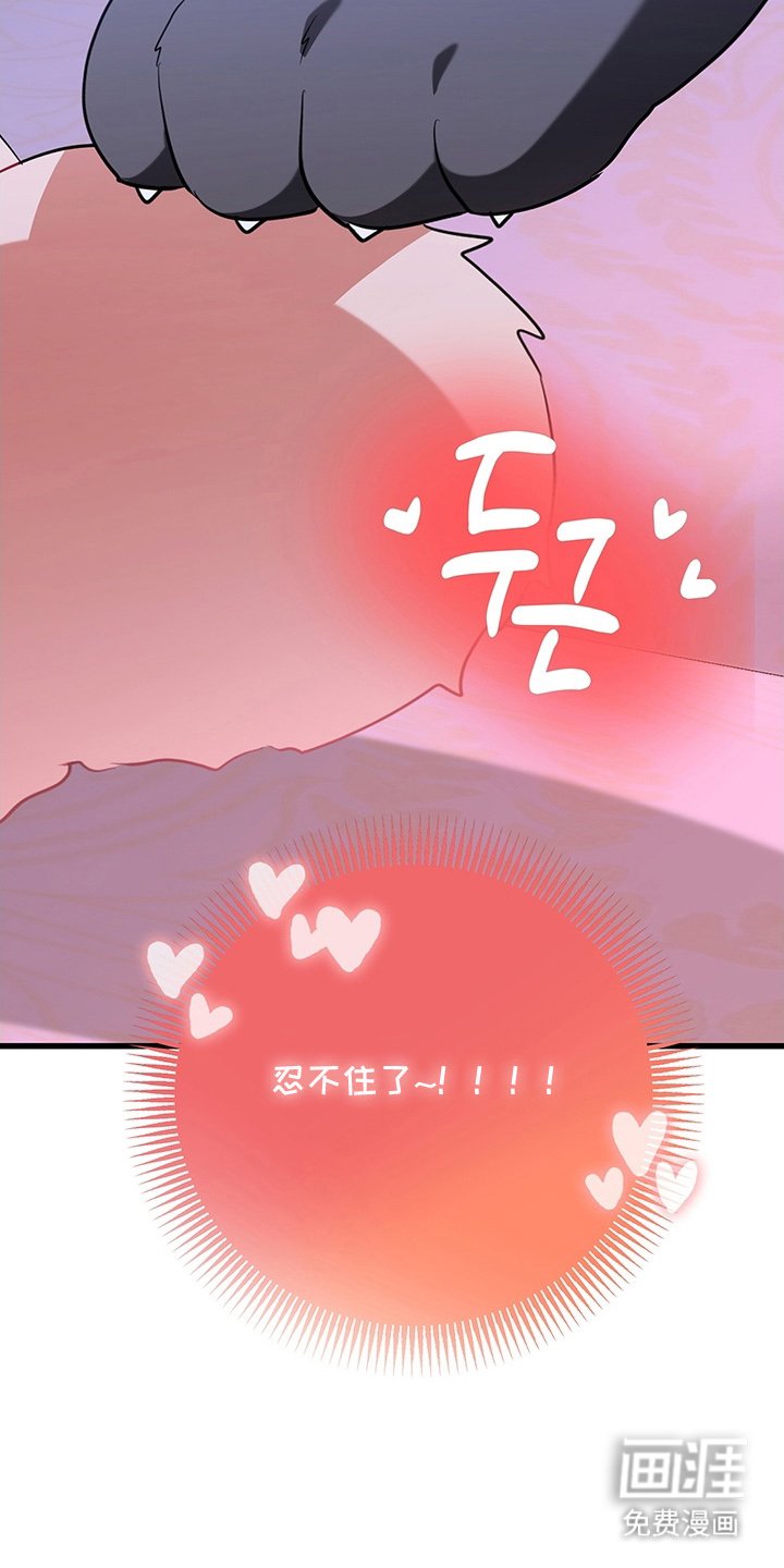 第4章：兔毛球