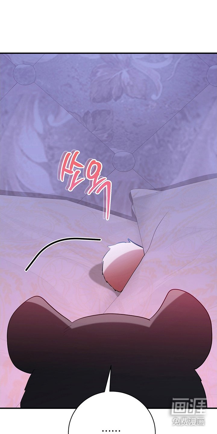 第4章：兔毛球