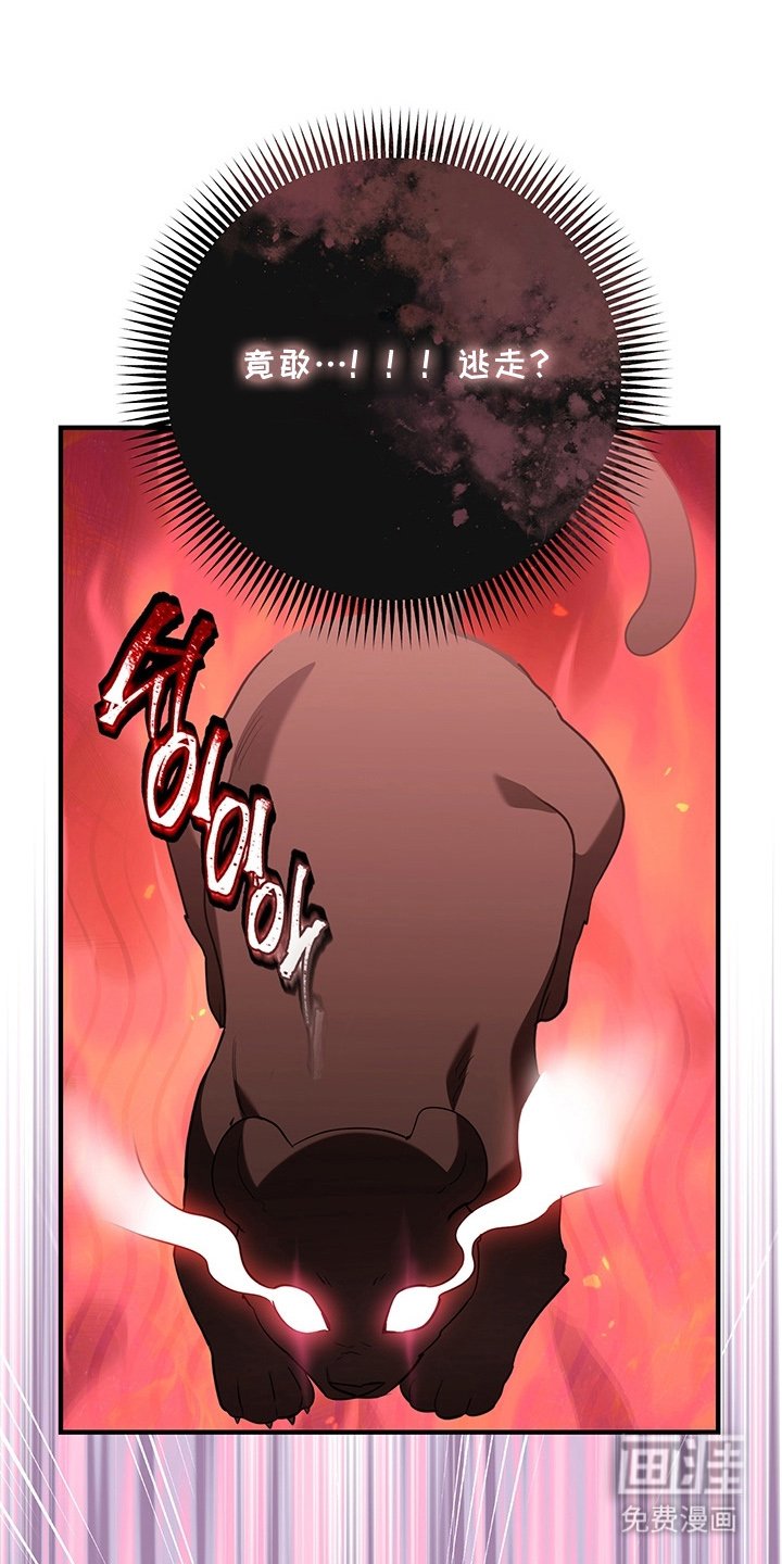 第4章：兔毛球
