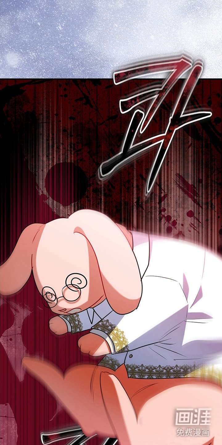 第4章：兔毛球