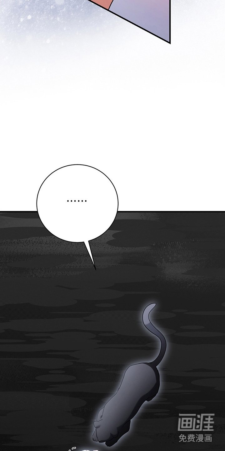 第4章：兔毛球