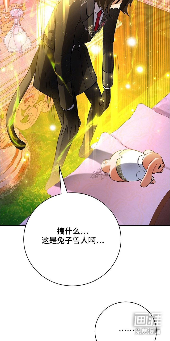 第4章：兔毛球