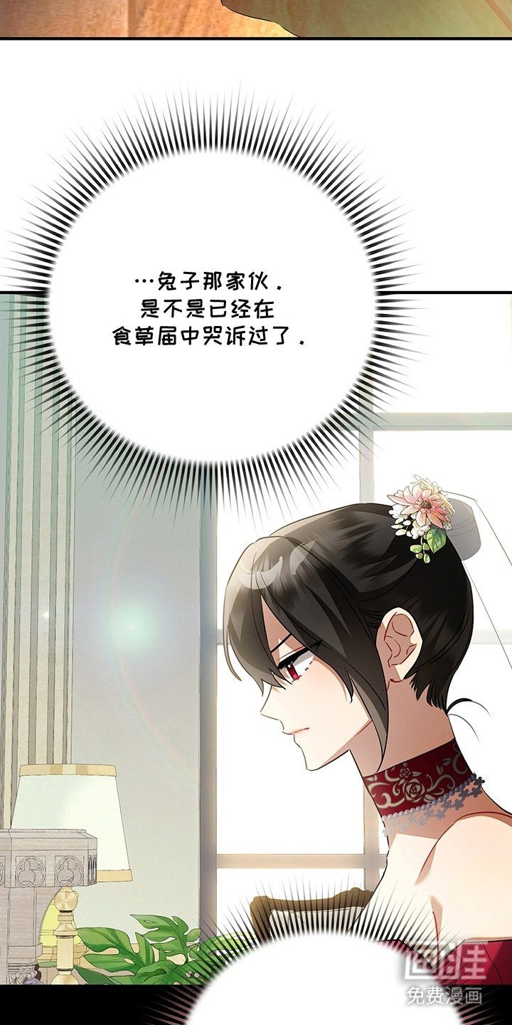 第6章：我要离婚