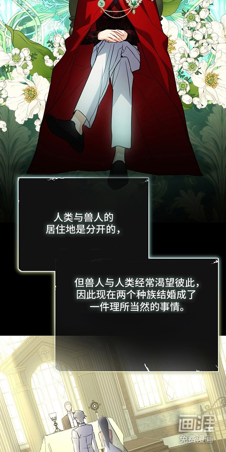 第6章：我要离婚