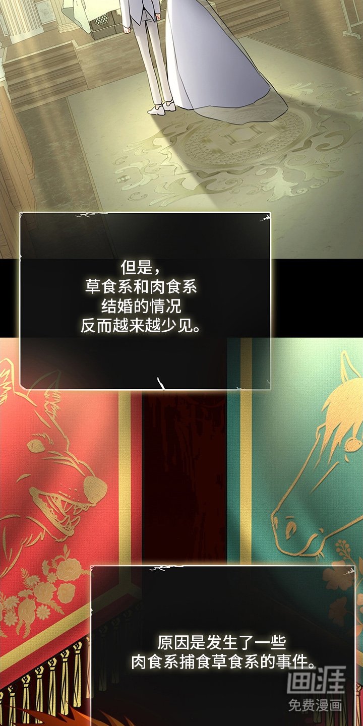 第6章：我要离婚