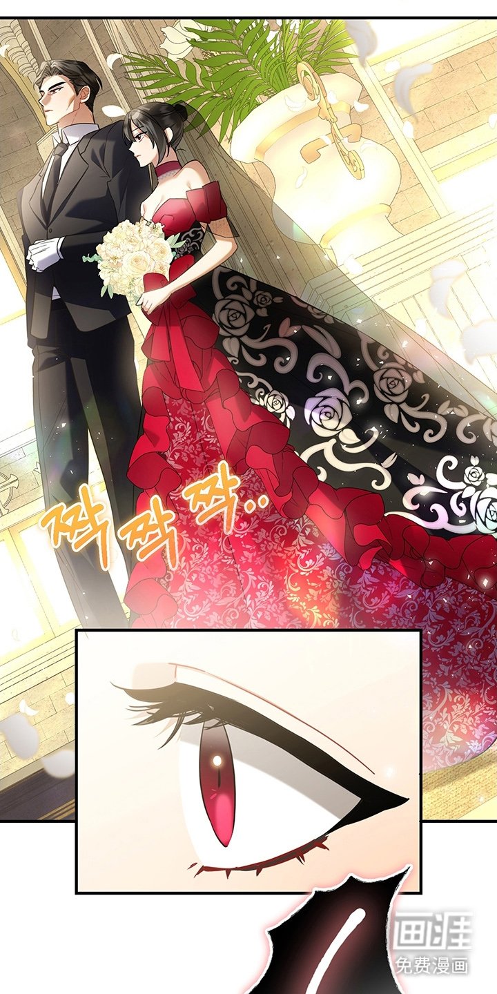 第6章：我要离婚