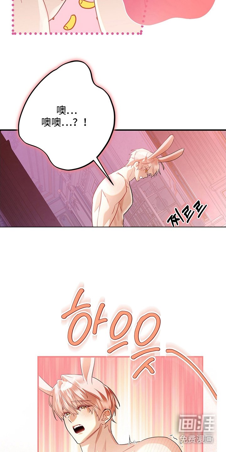 第9章：表现好