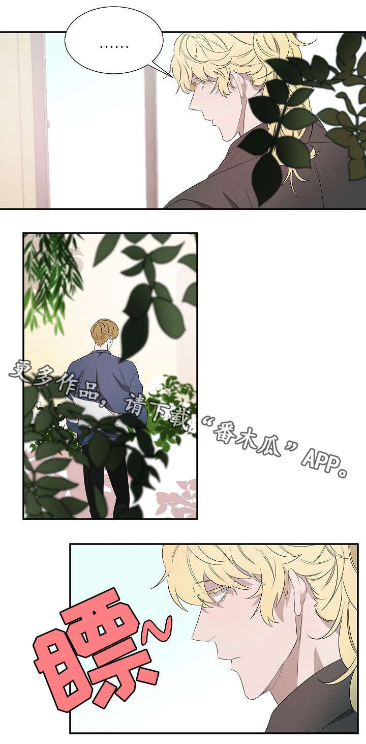 第18章：太阳花