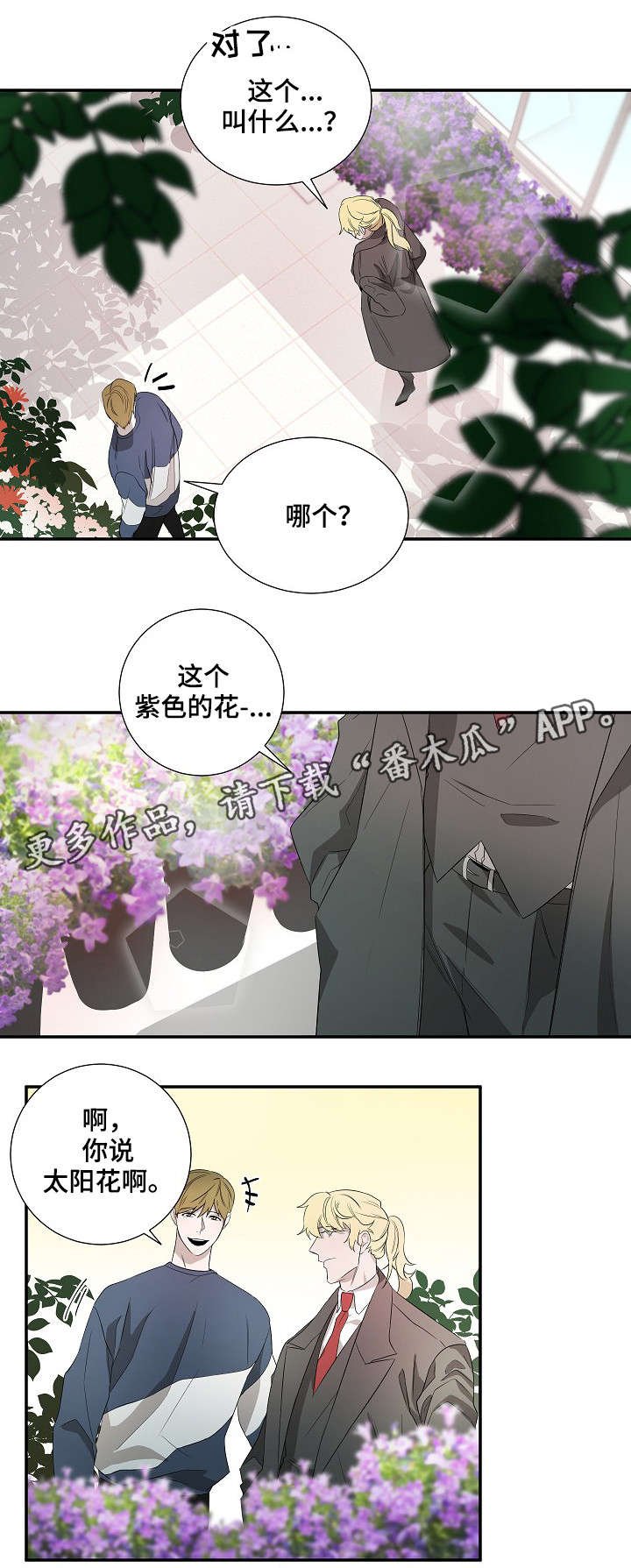 第18章：太阳花