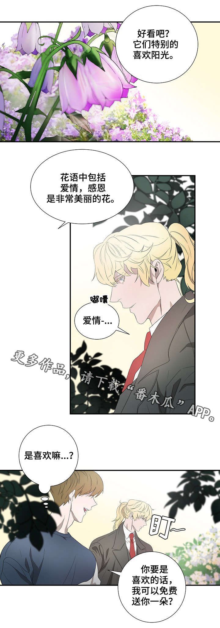 第18章：太阳花