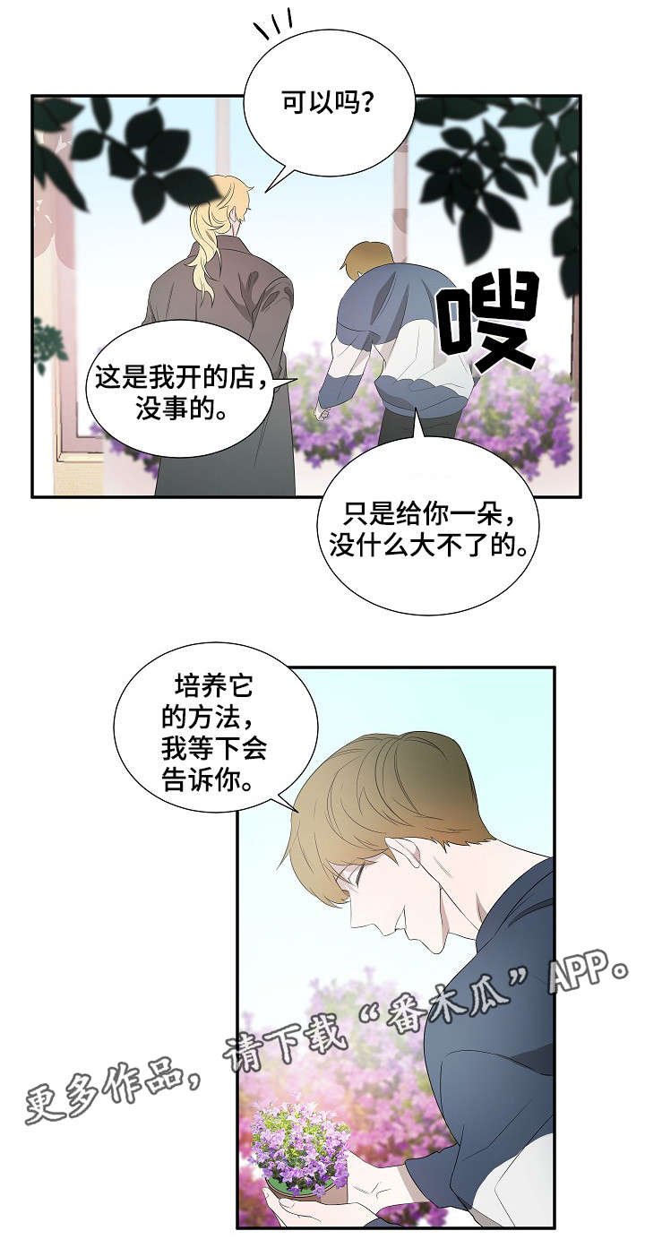 第18章：太阳花