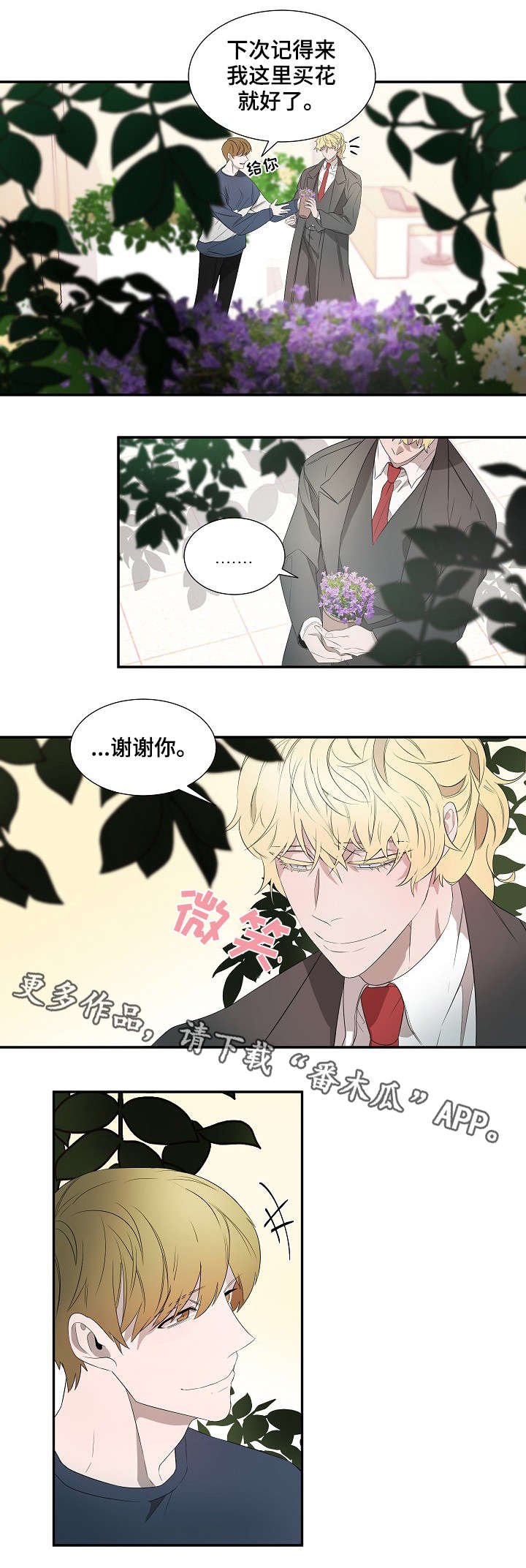 第18章：太阳花