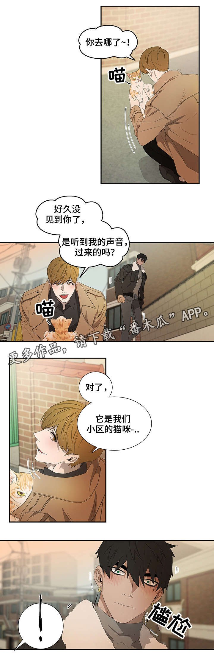 第21章：好奇心