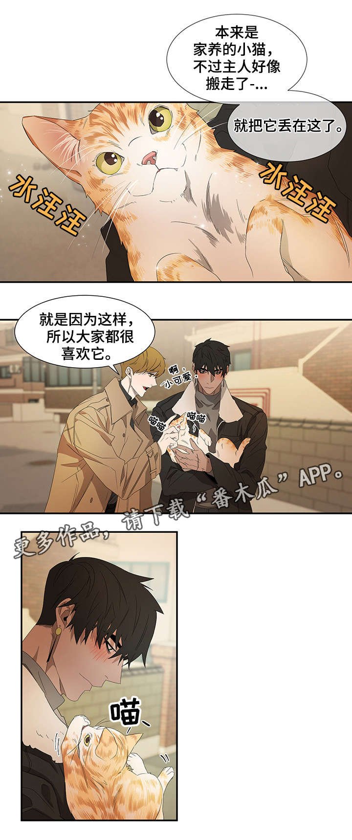 第21章：好奇心