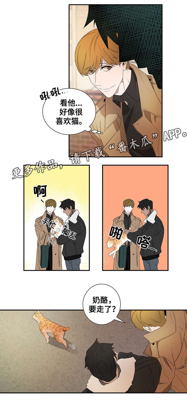 第21章：好奇心