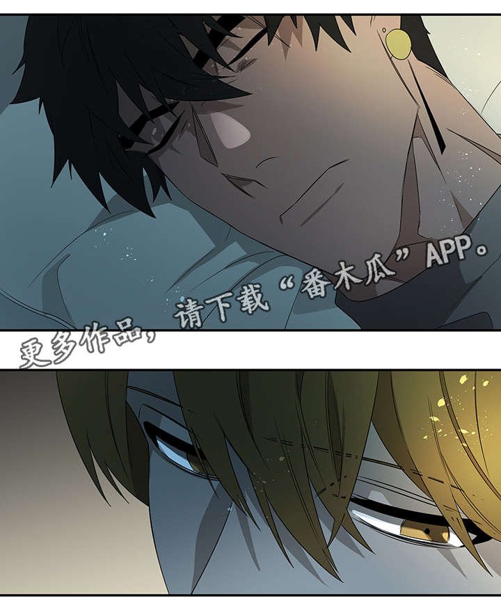 第25章：声音