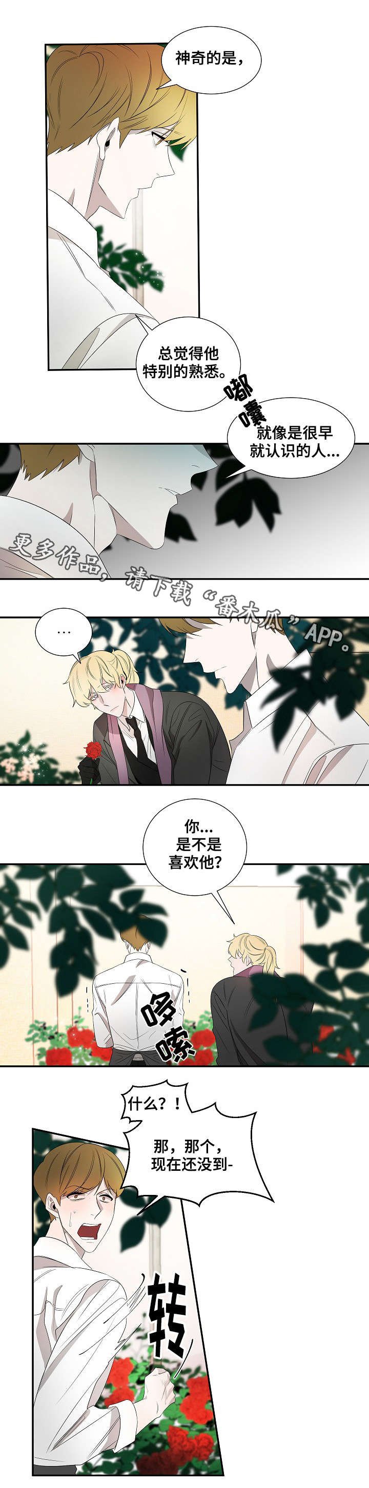 第26章：纹身