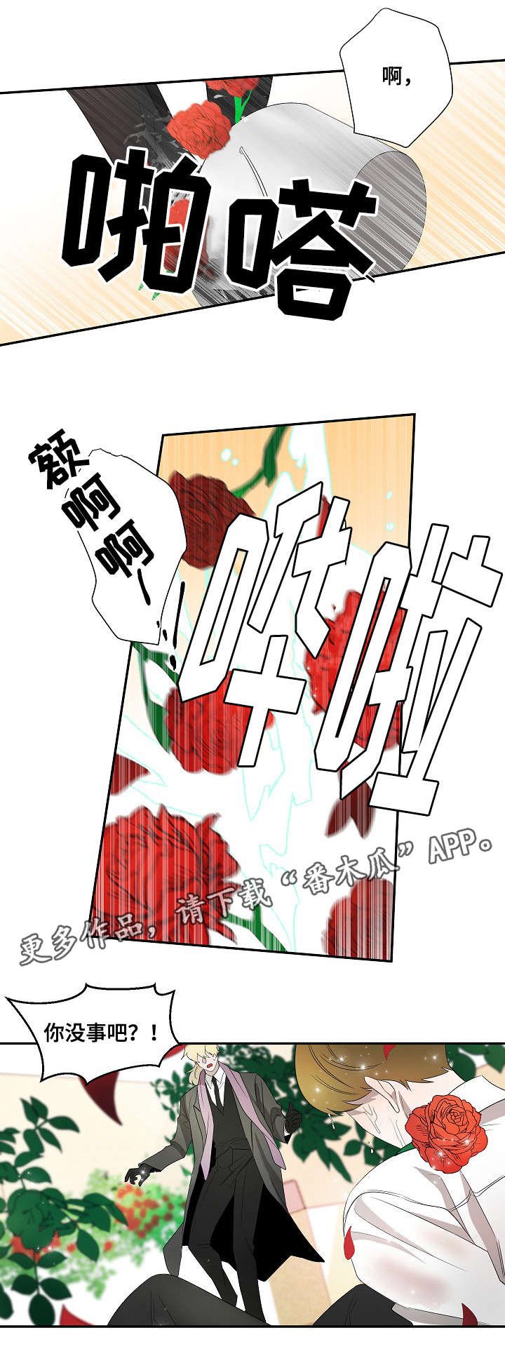 第26章：纹身