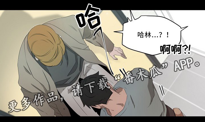 第55章：想法