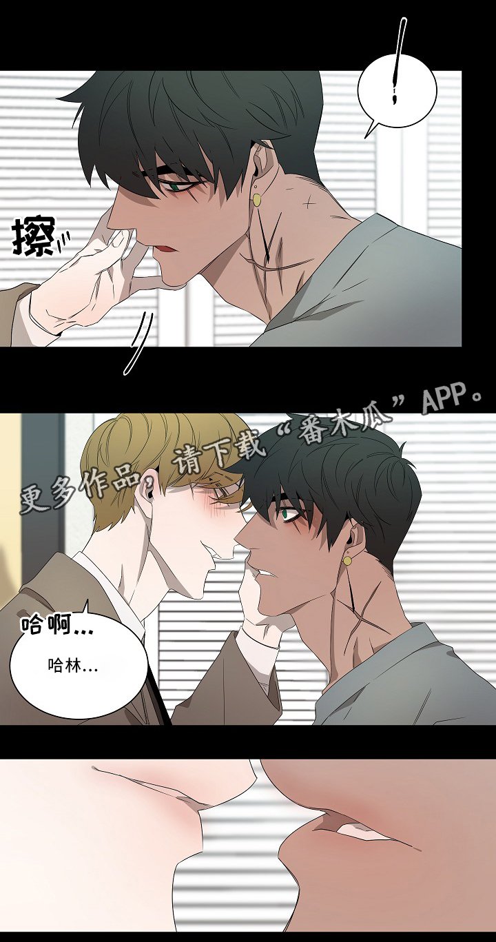 第55章：想法