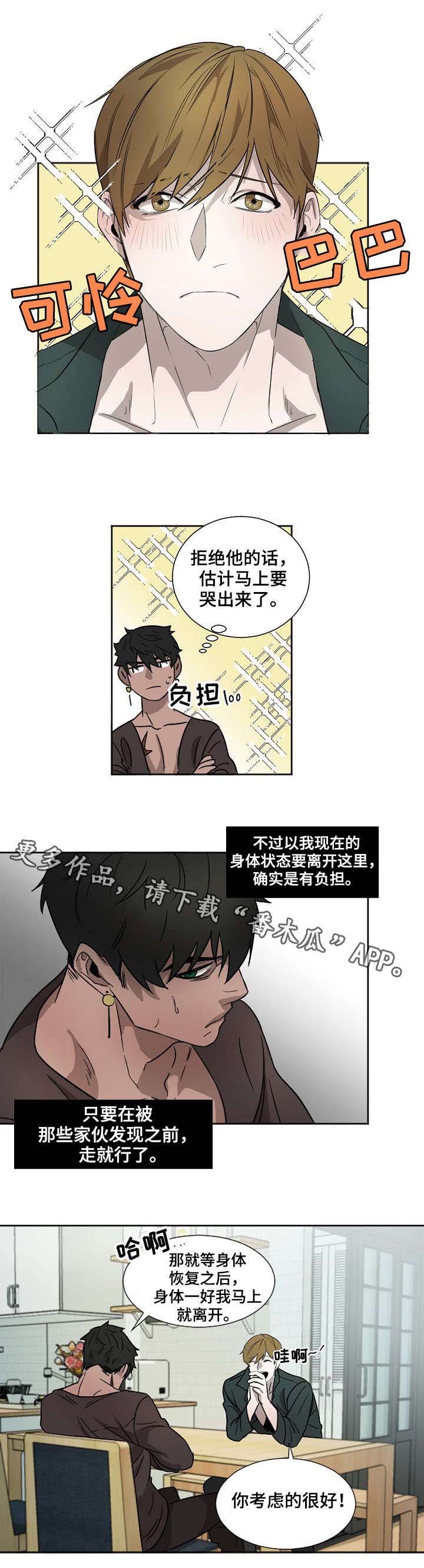 第6章：狗