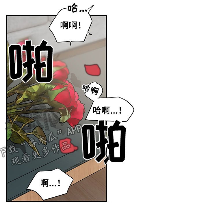 第60章：迷魂药