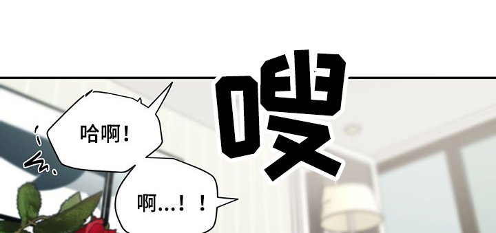 第60章：迷魂药