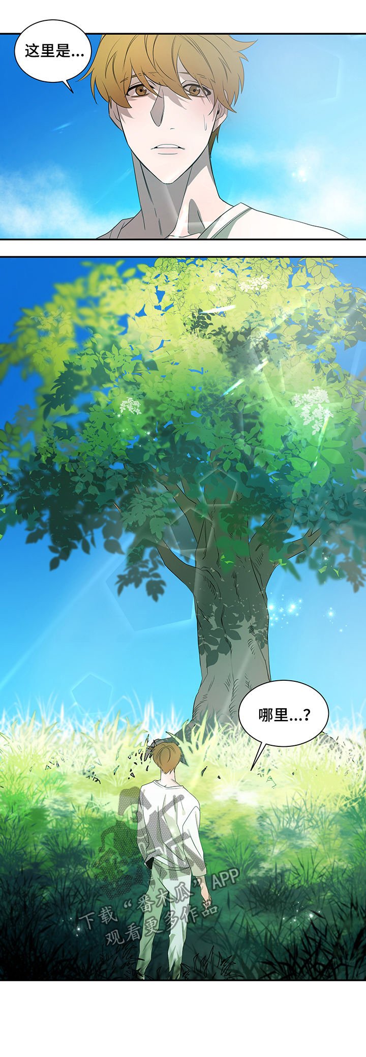 第60章：迷魂药