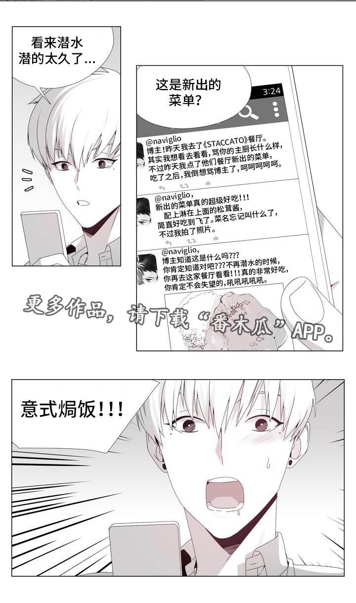 第18章：意式焗饭