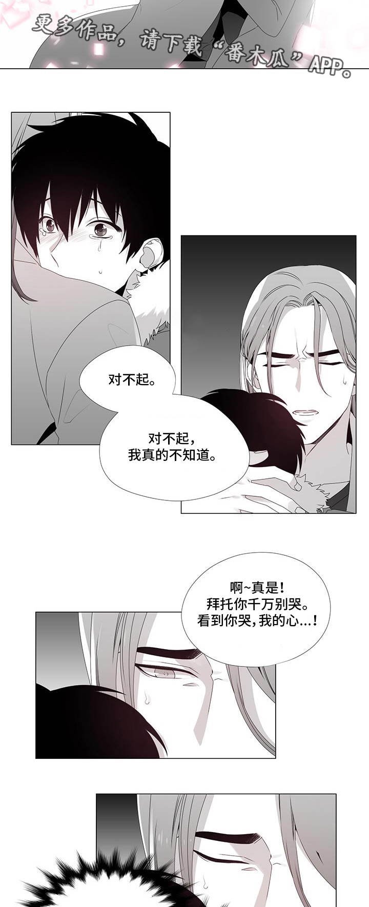 第23章：好奇的事