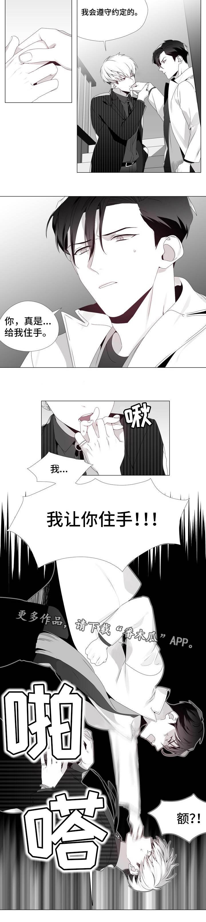 第9章：遵守约定