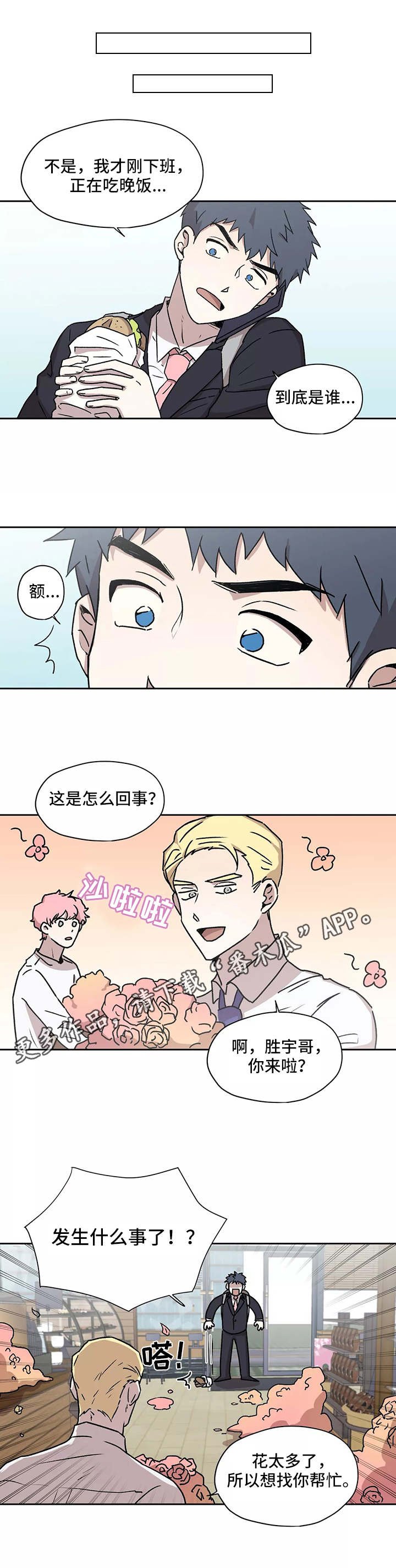 第20章：理事