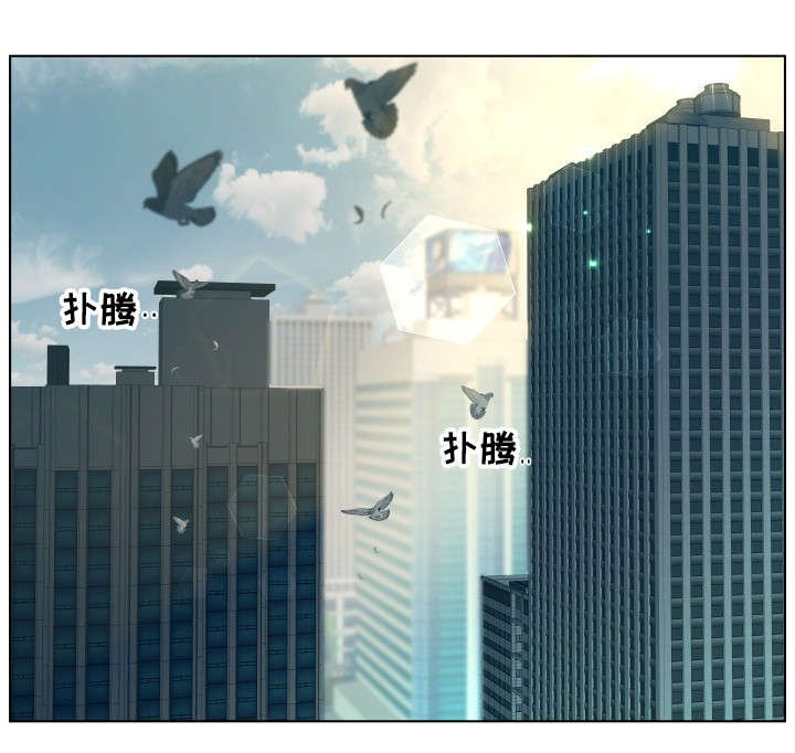 第19章：加入