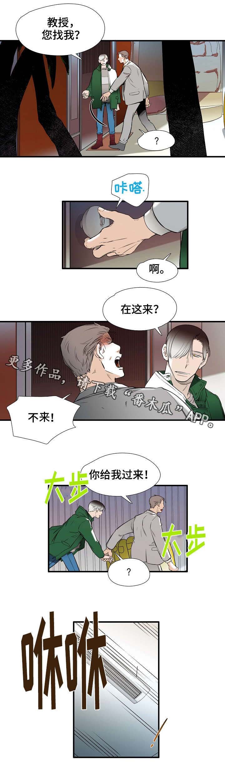 第19章：新生