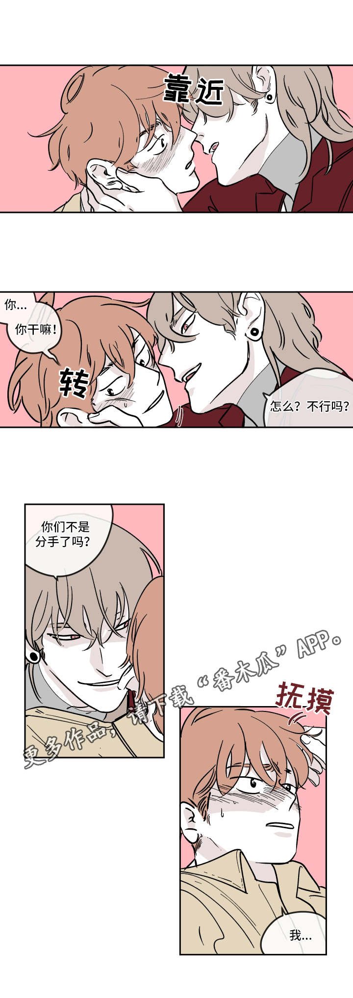 第13章：利用