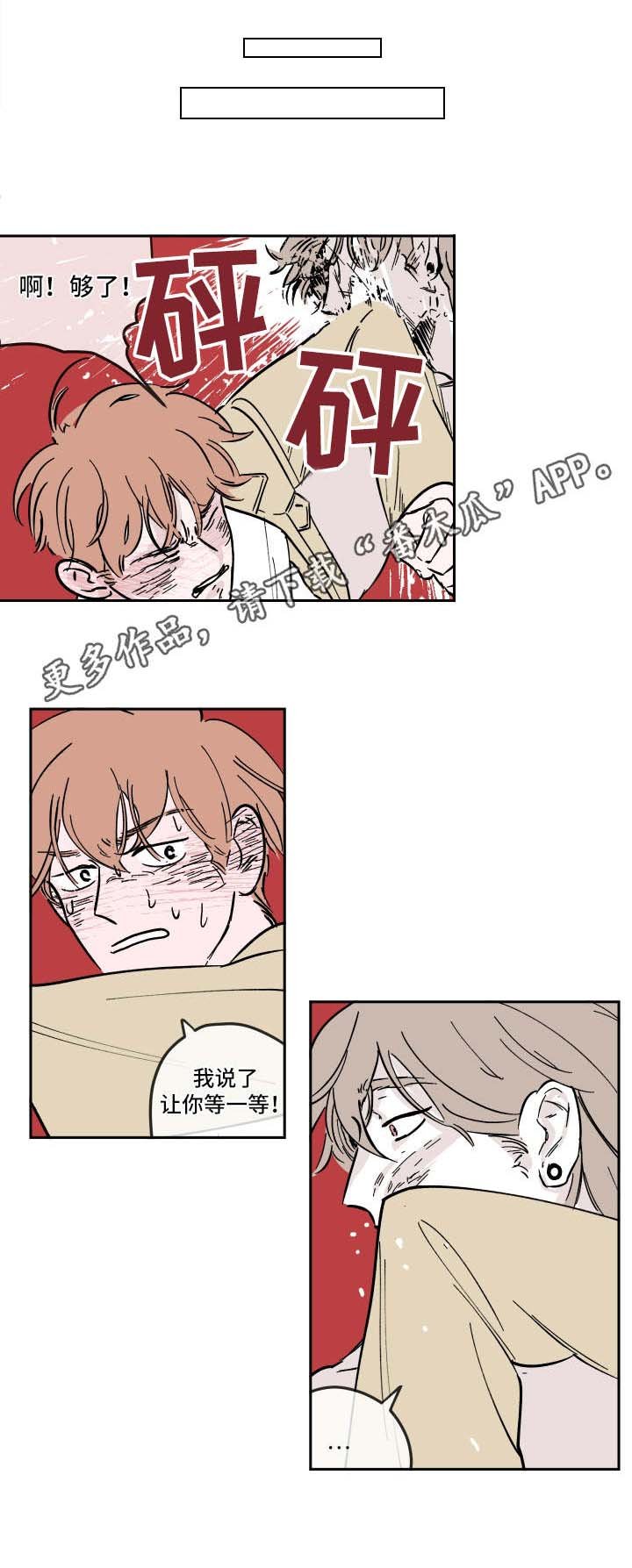 第13章：利用