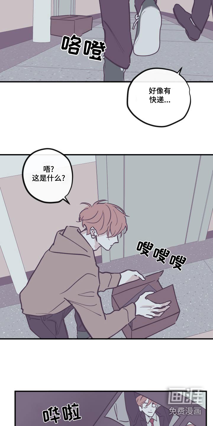 第144章：【第三季】回家