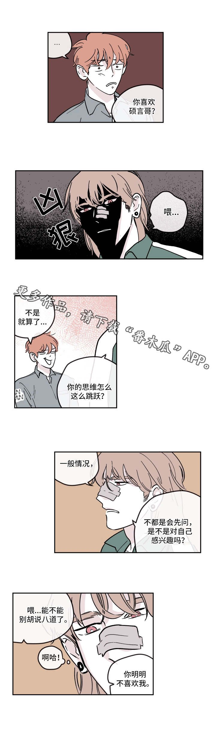 第20章：选项