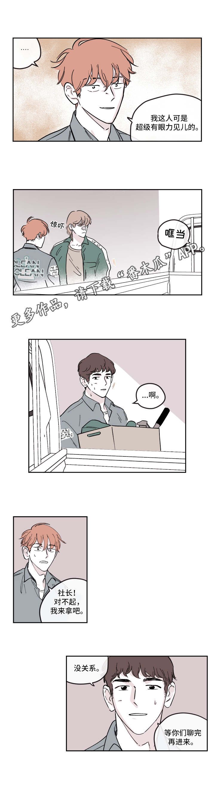 第20章：选项
