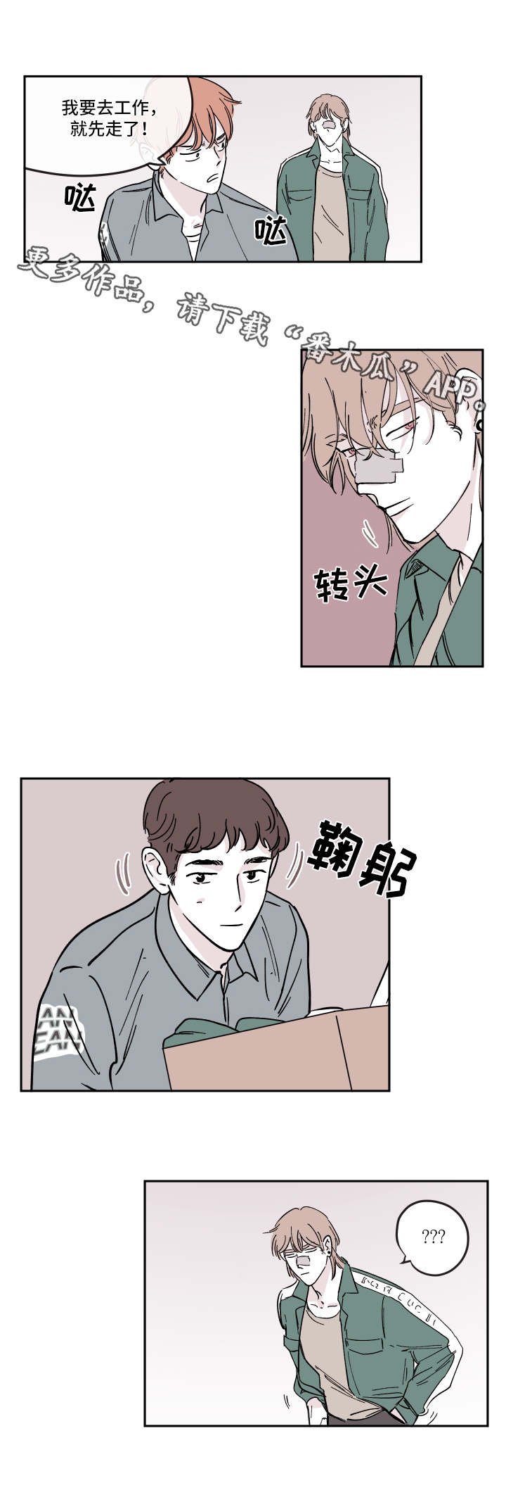 第20章：选项