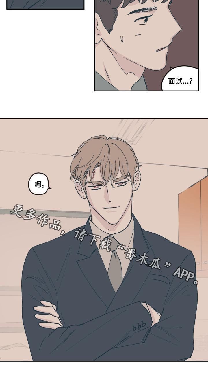第61章：面试
