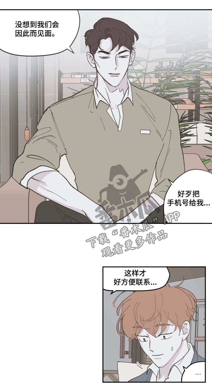 第78章：【第三季】离婚了