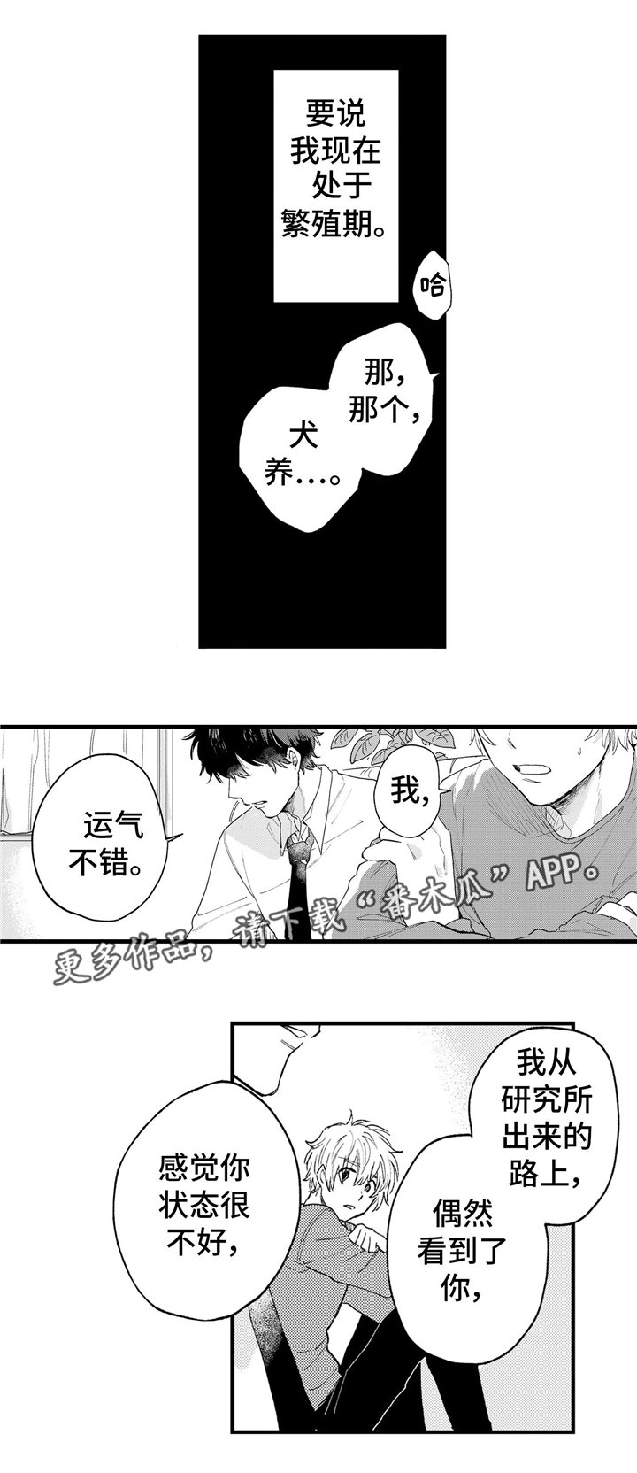 第11章：冷静