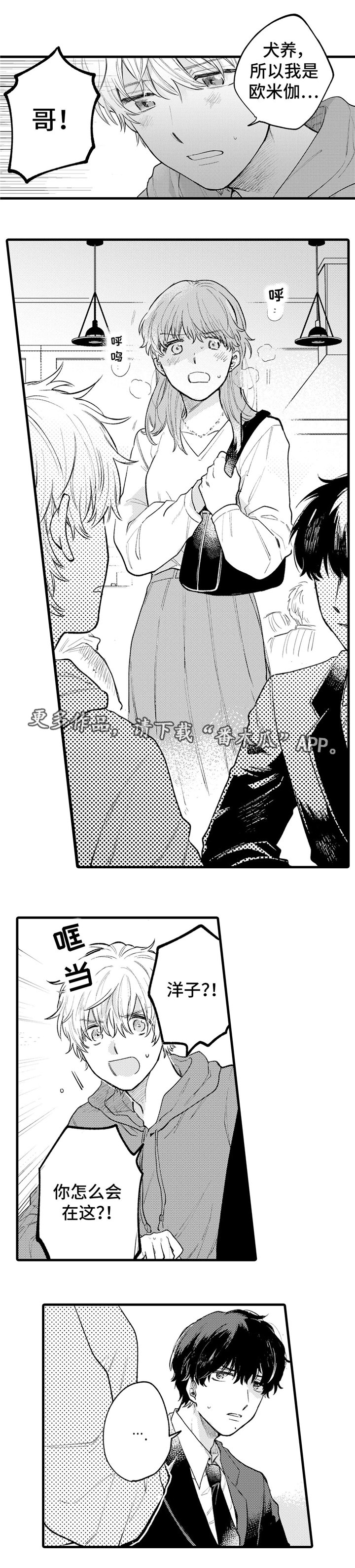 第17章：解释