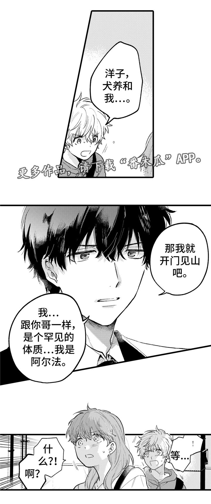 第17章：解释