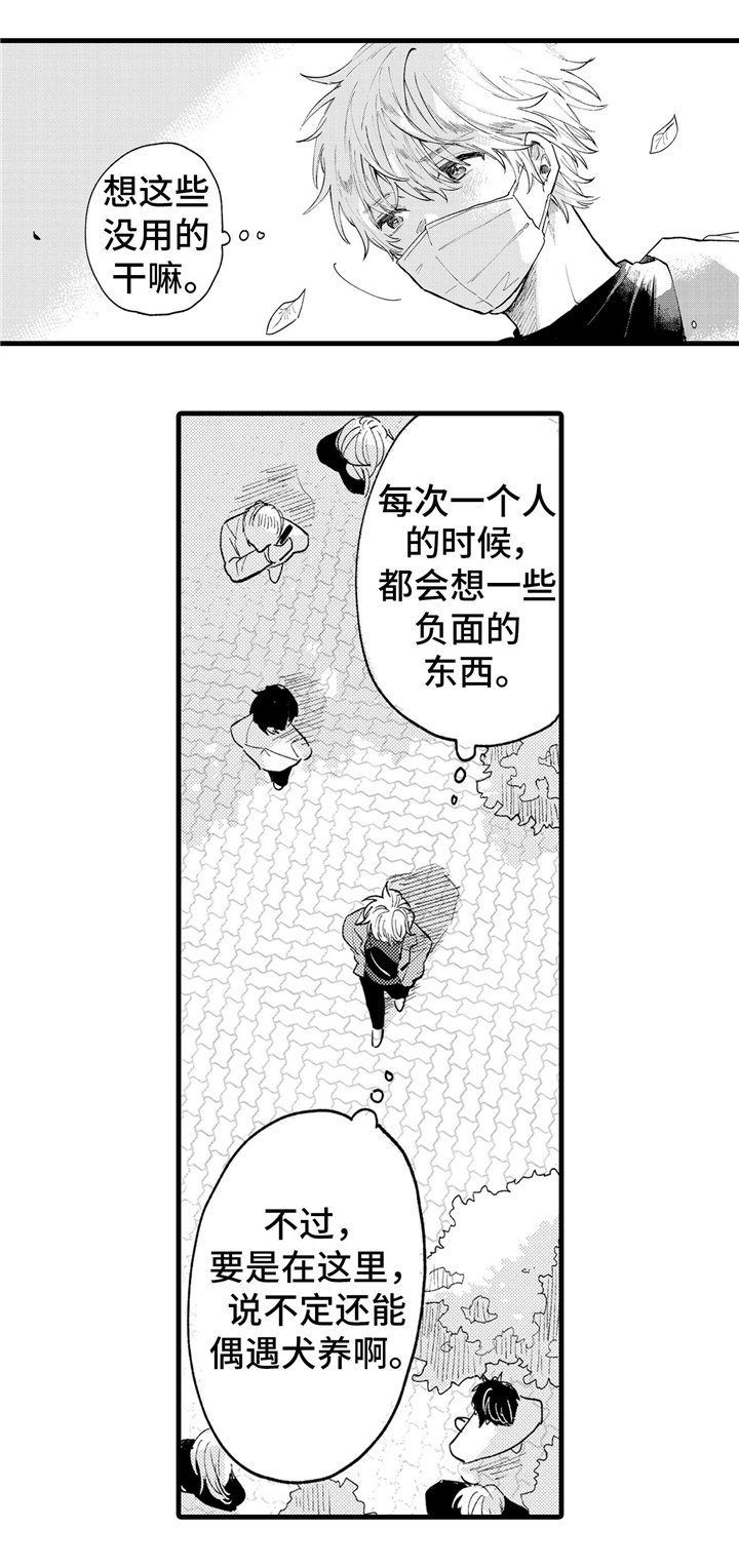 第9章：羡慕