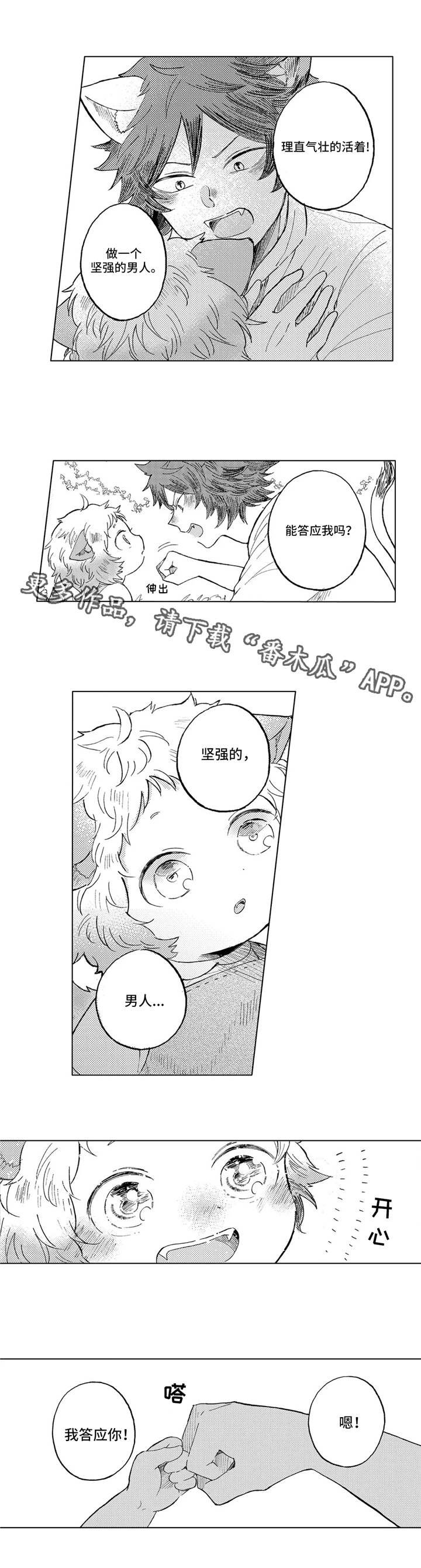 第17章：约定